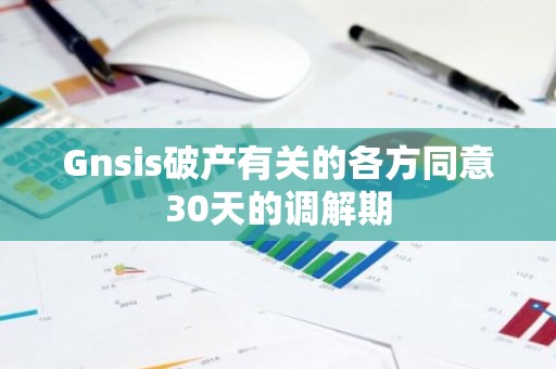 Gnsis破产有关的各方同意30天的调解期