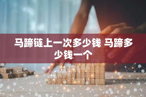 马蹄链上一次多少钱 马蹄多少钱一个
