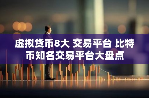 虚拟货币8大 交易平台 比特币知名交易平台大盘点