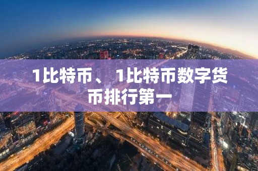 1比特币、 1比特币数字货币排行第一