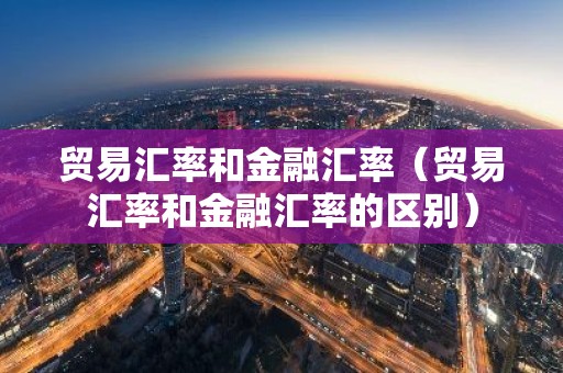 贸易汇率和金融汇率（贸易汇率和金融汇率的区别）