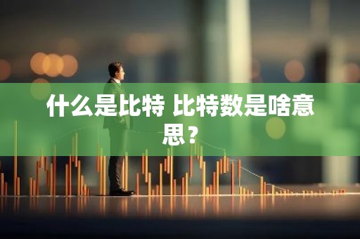 什么是比特 比特数是啥意思？