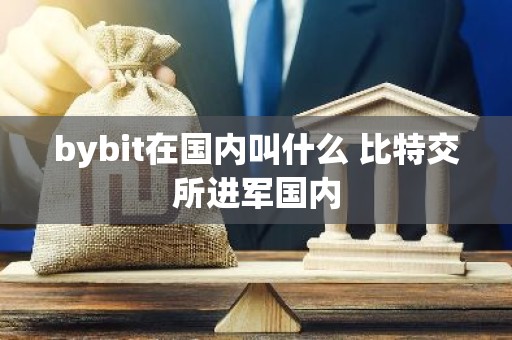bybit在国内叫什么 比特交所进军国内