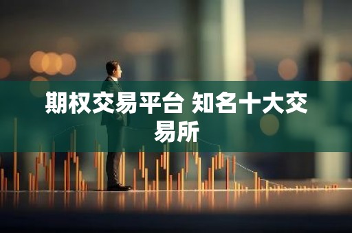 期权交易平台 知名十大交易所