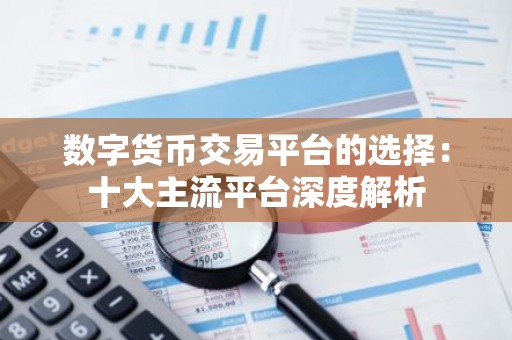 数字货币交易平台的选择：十大主流平台深度解析