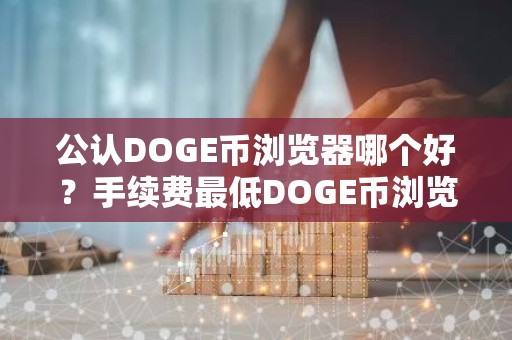 公认DOGE币浏览器哪个好？手续费最低DOGE币浏览器市场占有率排名