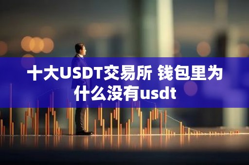 十大USDT交易所 钱包里为什么没有usdt