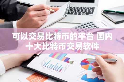 可以交易比特币的平台 国内十大比特币交易软件