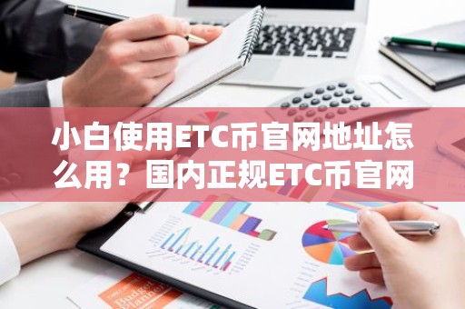 小白使用ETC币官网地址怎么用？国内正规ETC币官网地址榜单一览
