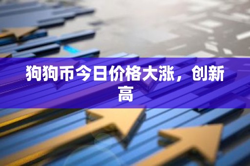 狗狗币今日价格大涨，创新高