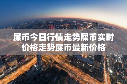 屎币今日行情走势屎币实时价格走势屎币最新价格