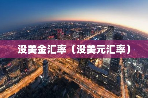 没美金汇率（没美元汇率）