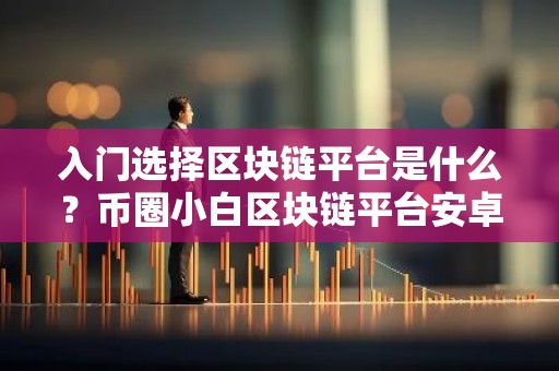 入门选择区块链平台是什么？币圈小白区块链平台安卓排行榜