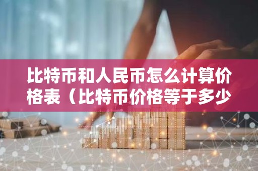 比特币和人民币怎么计算价格表（比特币价格等于多少人民币）