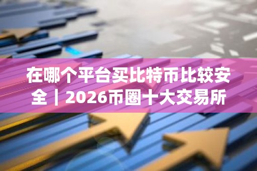 在哪个平台买比特币比较安全｜2026币圈十大交易所app下载