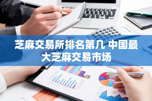 芝麻交易所排名第几 中国最大芝麻交易市场