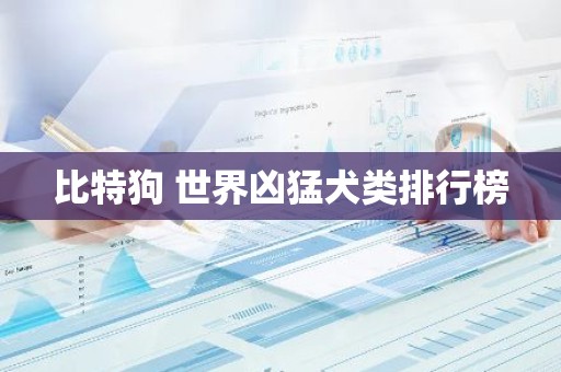 比特狗 世界凶猛犬类排行榜