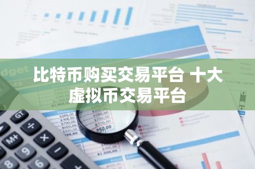 比特币购买交易平台 十大虚拟币交易平台