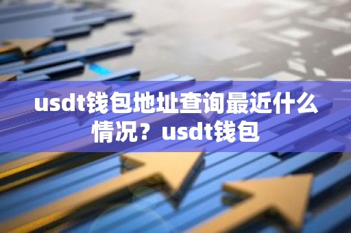 usdt钱包地址查询最近什么情况？usdt钱包