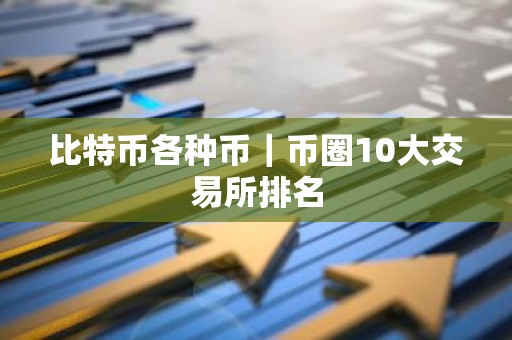 比特币各种币｜币圈10大交易所排名