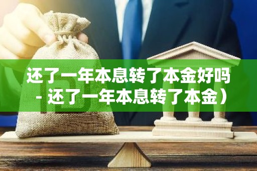 还了一年本息转了本金好吗 - 还了一年本息转了本金）