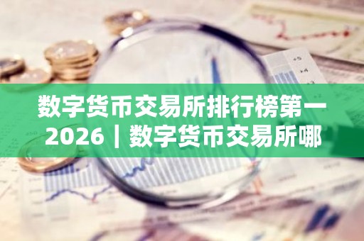 数字货币交易所排行榜第一2026｜数字货币交易所哪个好