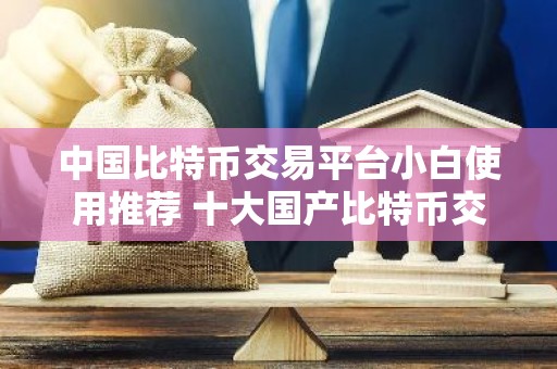 中国比特币交易平台小白使用推荐 十大国产比特币交易平台排行榜
