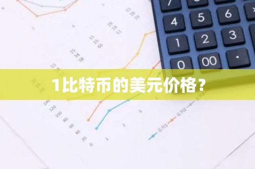 1比特币的美元价格？