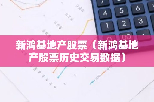 新鸿基地产股票（新鸿基地产股票历史交易数据）