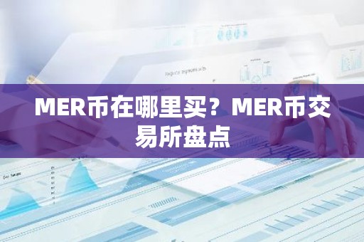 MER币在哪里买？MER币交易所盘点