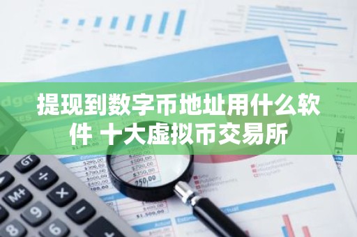 提现到数字币地址用什么软件 十大虚拟币交易所
