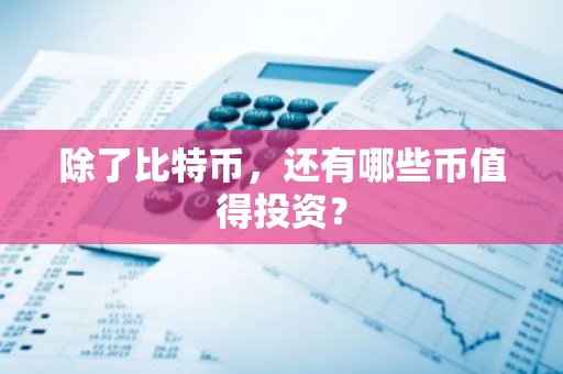 除了比特币，还有哪些币值得投资？