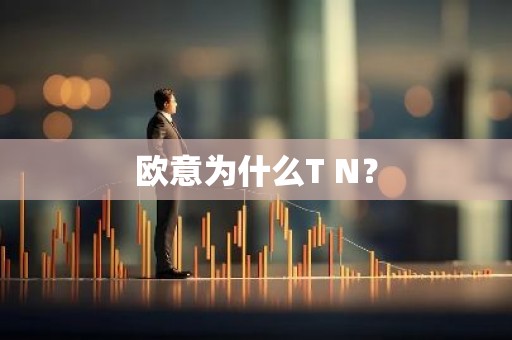 欧意为什么T N？