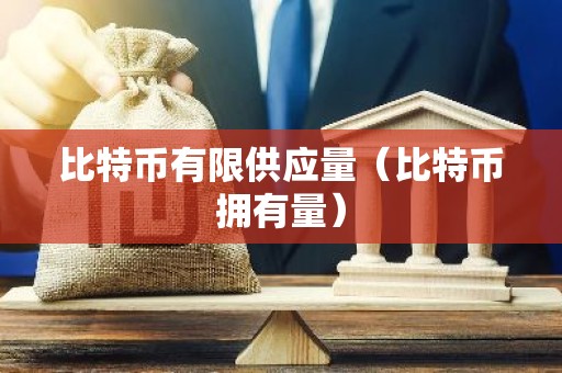 比特币有限供应量（比特币拥有量）