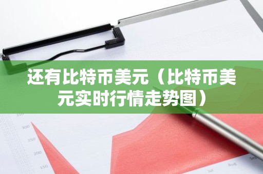还有比特币美元（比特币美元实时行情走势图）