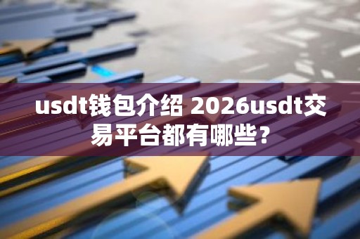 usdt钱包介绍 2026usdt交易平台都有哪些？