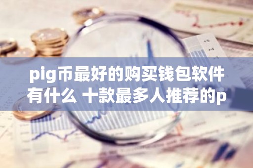 pig币最好的购买钱包软件有什么 十款最多人推荐的pig钱包软件排行榜