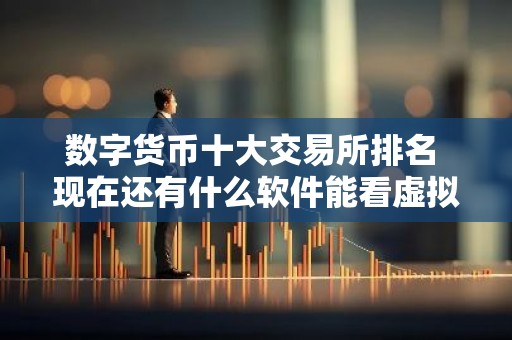 数字货币十大交易所排名 现在还有什么软件能看虚拟货币的