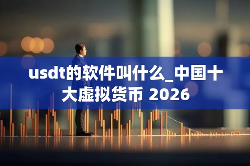 usdt的软件叫什么_中国十大虚拟货币 2026