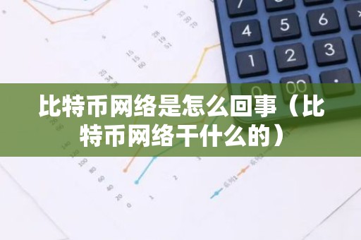 比特币网络是怎么回事（比特币网络干什么的）
