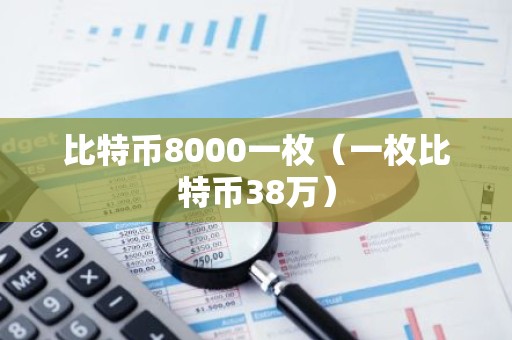 比特币8000一枚（一枚比特币38万）