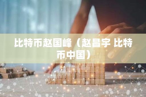 比特币赵国峰（赵昌宇 比特币中国）