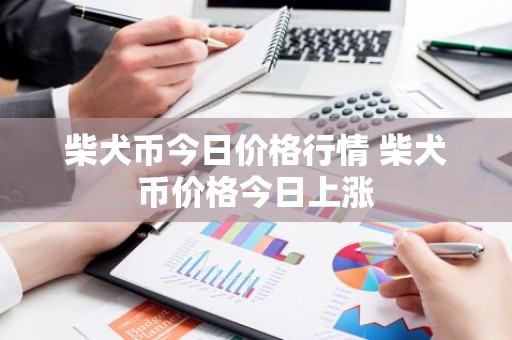 柴犬币今日价格行情 柴犬币价格今日上涨