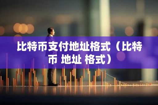比特币支付地址格式（比特币 地址 格式）