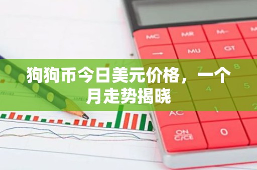 狗狗币今日美元价格，一个月走势揭晓