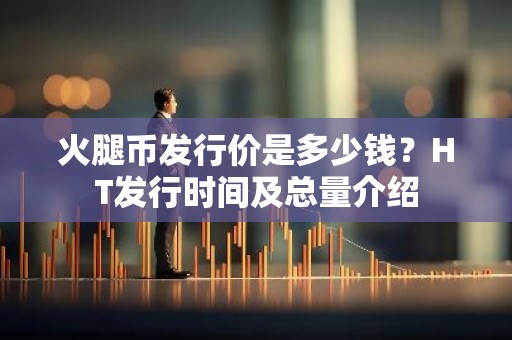 火腿币发行价是多少钱？HT发行时间及总量介绍