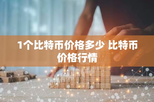 1个比特币价格多少 比特币价格行情