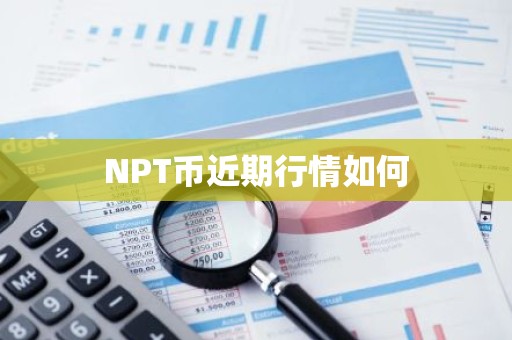 NPT币近期行情如何