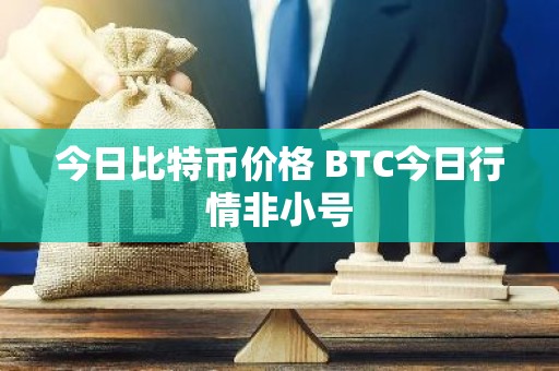 今日比特币价格 BTC今日行情非小号