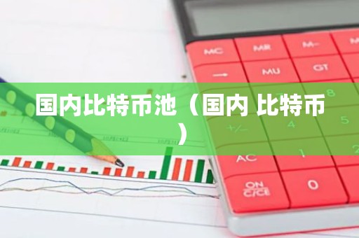 国内比特币池（国内 比特币）